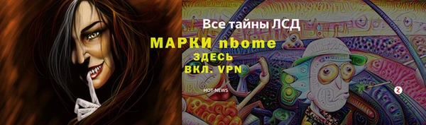 ГАЛЛЮЦИНОГЕННЫЕ ГРИБЫ Медвежьегорск