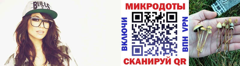 Галлюциногенные грибы Psilocybine cubensis Ясный